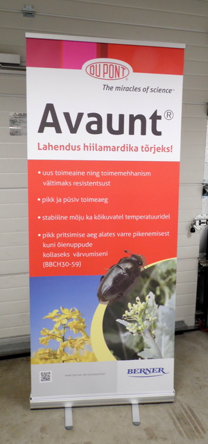 Rollup Avaunt Rollup Avaunt