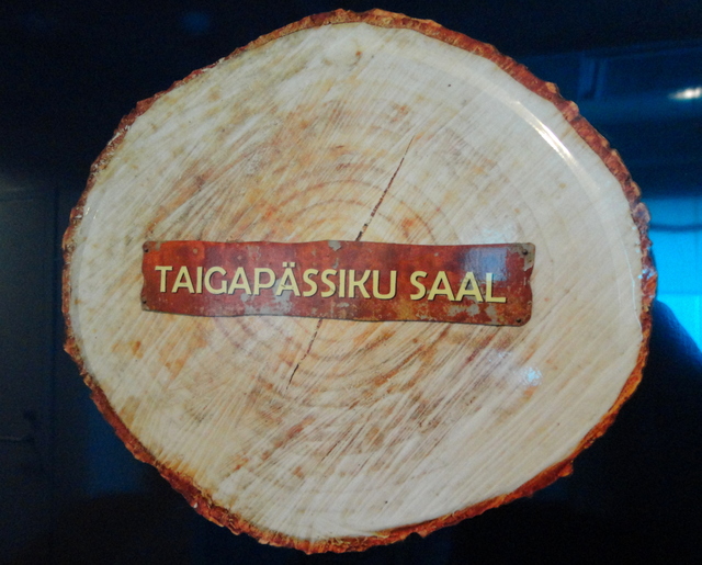 Koriste-tarra-magneettitaulu