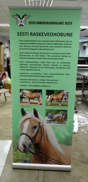 Kaksipuolinen roll up