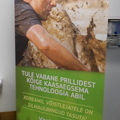 Roll-up Ksa silmakeskus