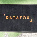 Logomatto Datafox