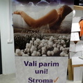 RollUp 1000x2000 Stroma